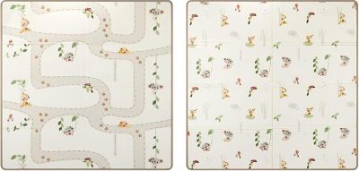 TAPIS